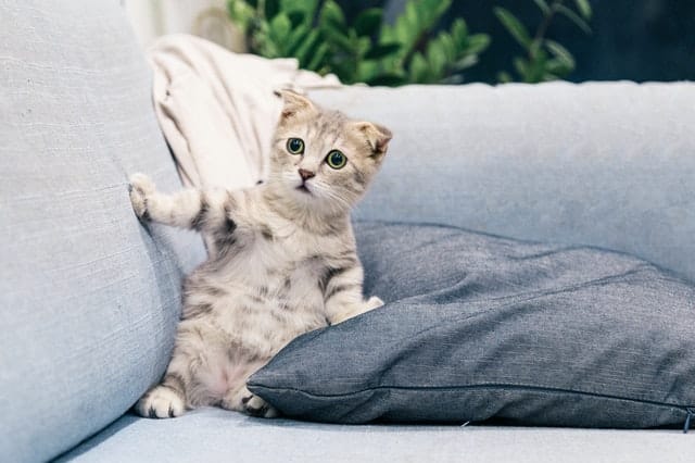 Therapeutic Pillows